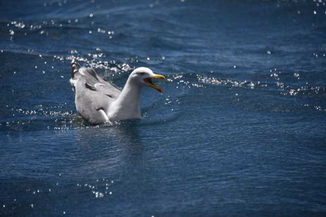 DSC_4026.JPG