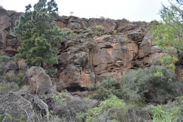 DSC_4104.JPG