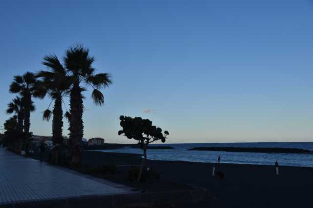 DSC_4175.JPG