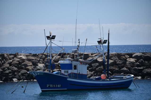 DSC_4206.JPG