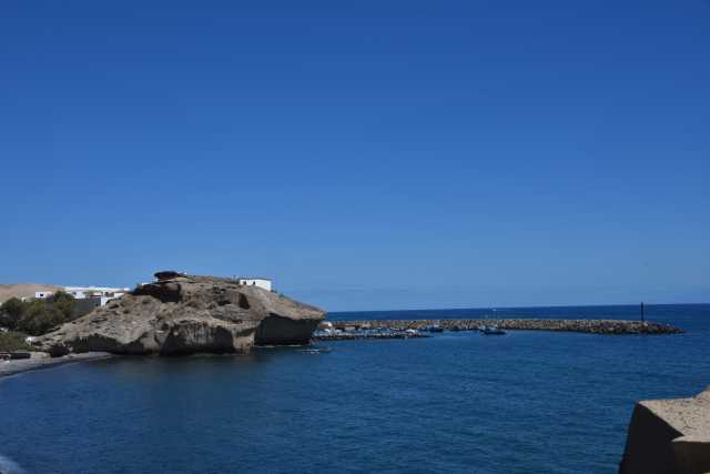 DSC_4217.JPG