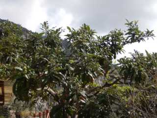 DSCN7681.JPG