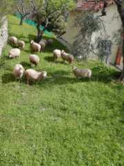 DSCN7686.JPG