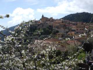 DSCN7688.JPG