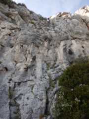 DSCN7747.JPG