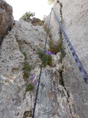DSCN7750.JPG