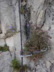 DSCN7752.JPG