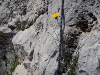DSCN7759.JPG