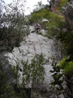 DSCN7775.JPG