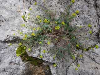 DSCN7776.JPG
