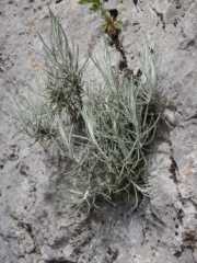 DSCN7778.JPG