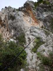 DSCN7788.JPG