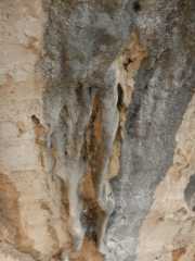 DSCN7793.JPG