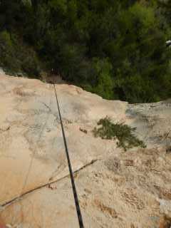 DSCN7795.JPG