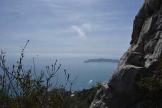 DSC_4323.JPG
