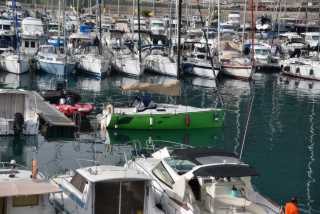 DSC_4484.JPG
