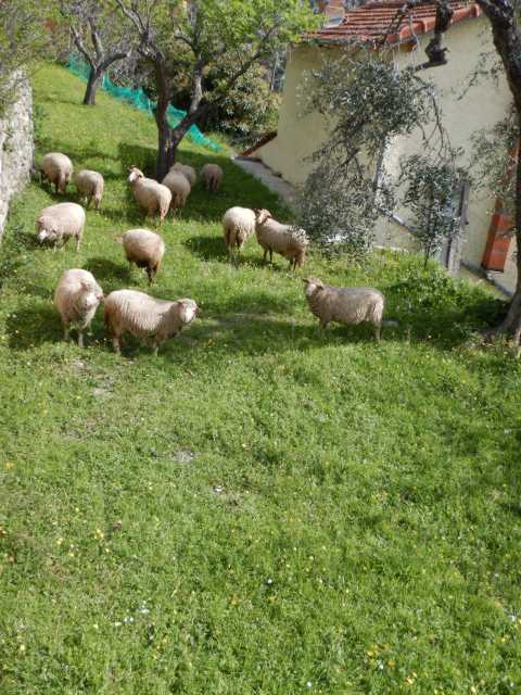DSCN7686.JPG