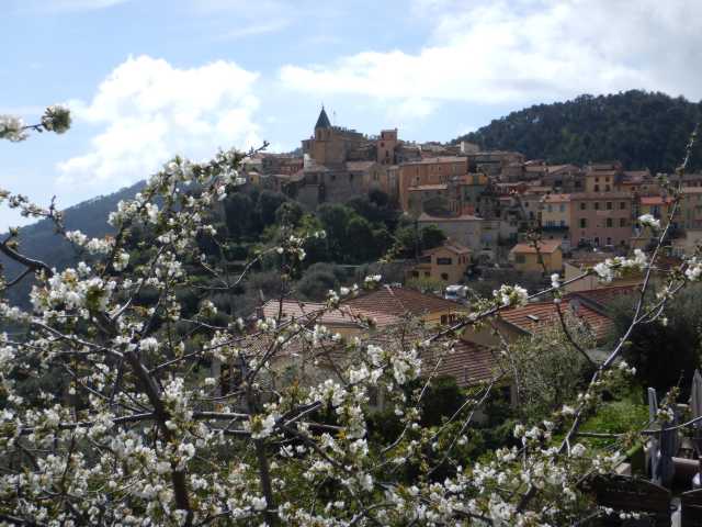 DSCN7688.JPG