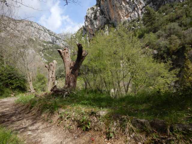 DSCN7692.JPG
