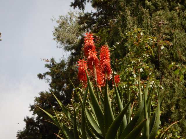 DSCN7696.JPG