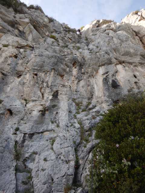 DSCN7747.JPG