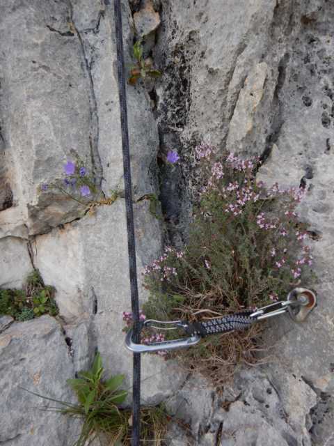 DSCN7752.JPG