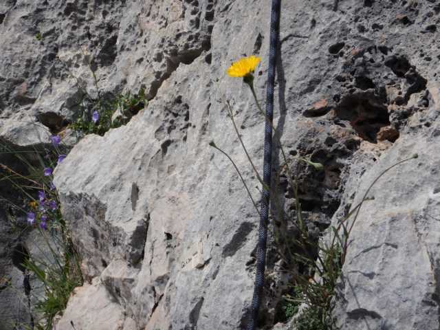 DSCN7759.JPG