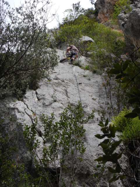 DSCN7775.JPG