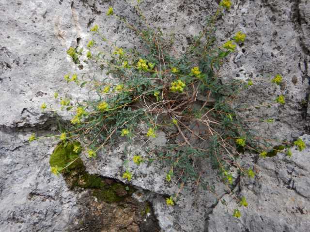 DSCN7776.JPG