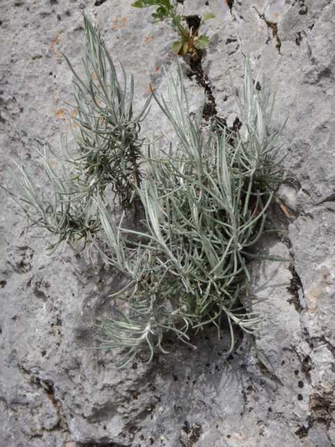 DSCN7778.JPG