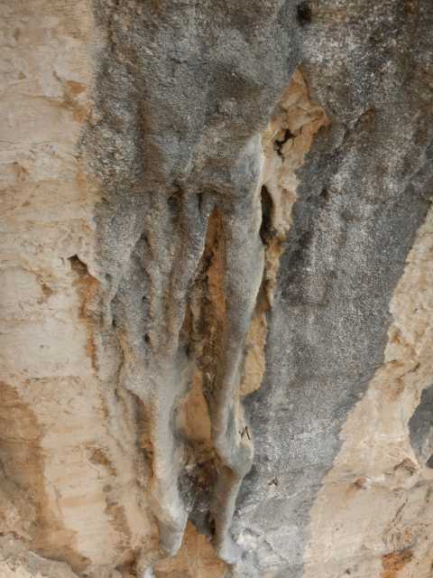 DSCN7793.JPG