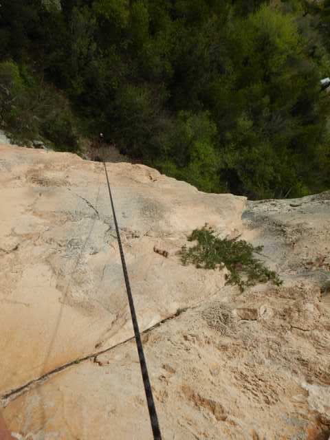 DSCN7795.JPG
