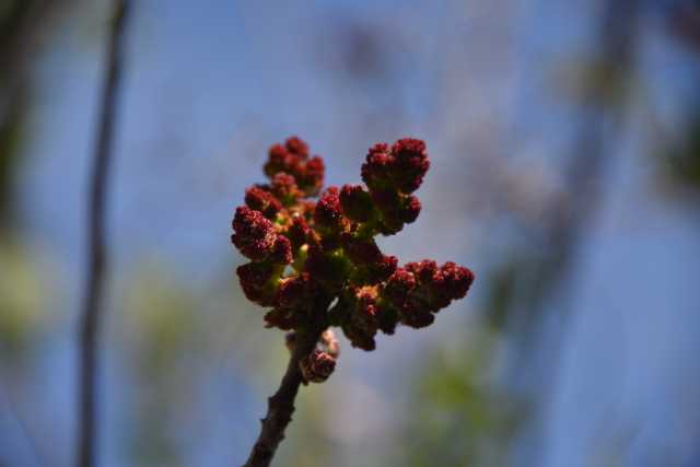 DSC_4326.JPG