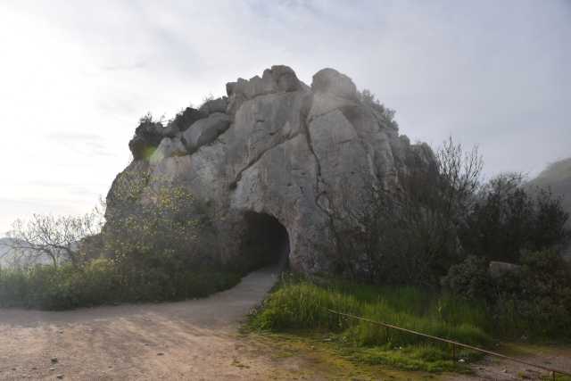 DSC_4342.JPG