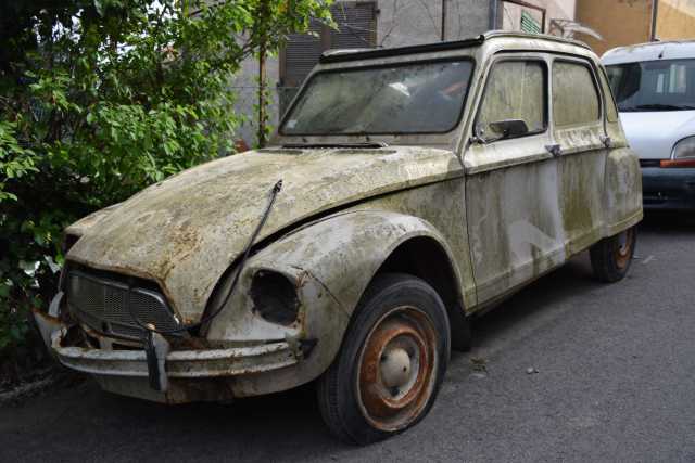 DSC_4464.JPG