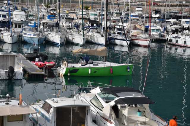 DSC_4484.JPG