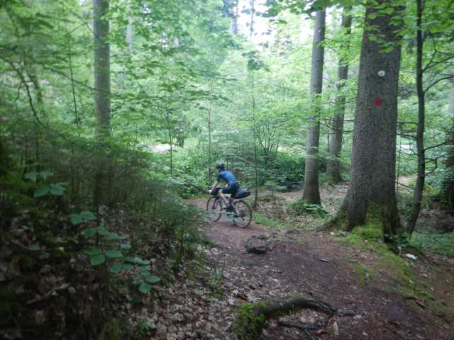 DSCN7967.JPG