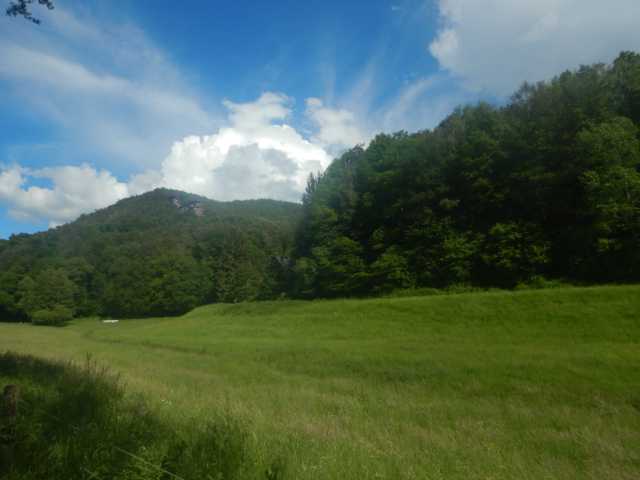 DSCN8016.JPG