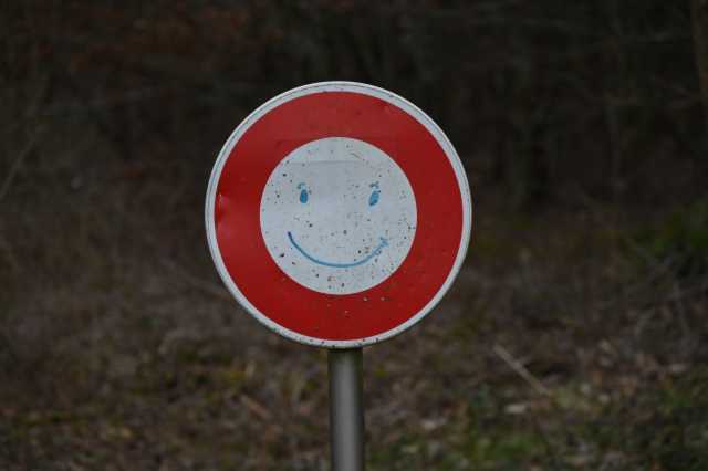 DSC_3325.JPG