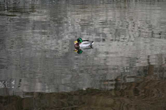 DSC_3351.JPG