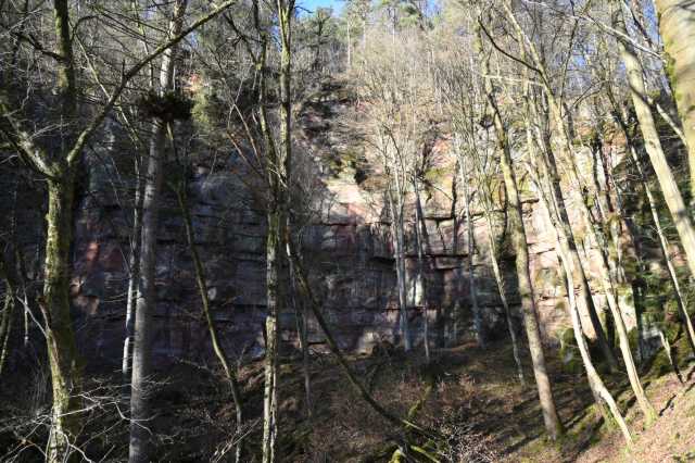 DSC_3395.JPG