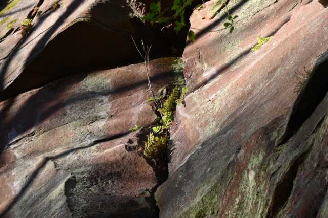 DSC_3396.JPG