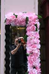 DSC_3530.JPG