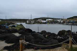 DSC_3562.JPG