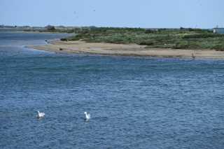DSC_3599.JPG