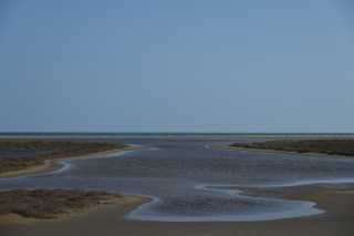 DSC_3612.JPG