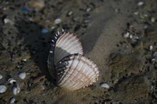 DSC_3642.JPG
