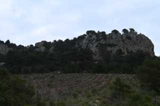 DSC_3660.JPG