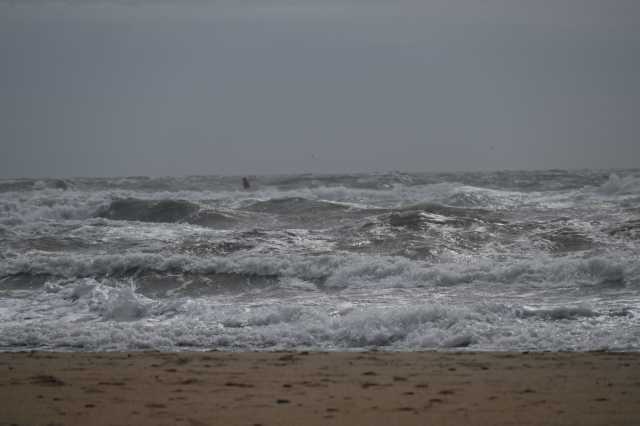 DSC_3479.JPG