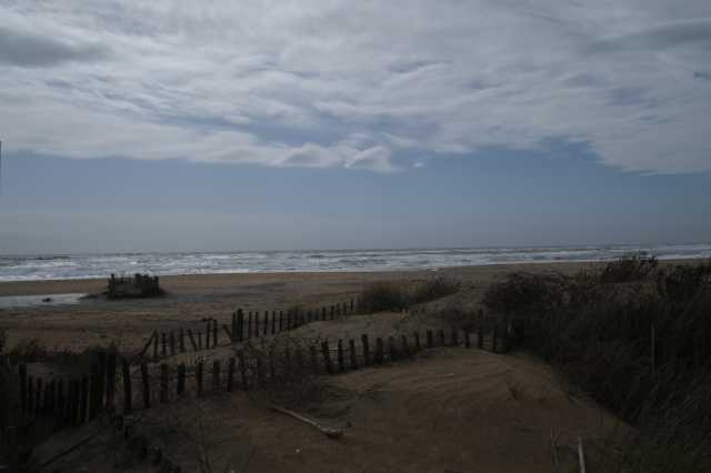 DSC_3487.JPG